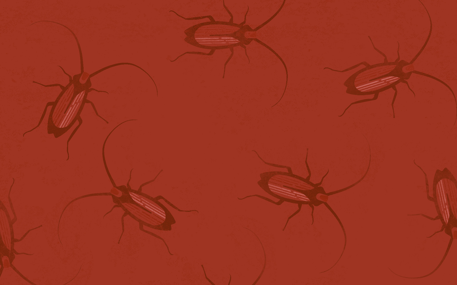 SERVICE YOU CAN TRUST