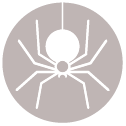 Illustration of a black-widow spider hanging from a web