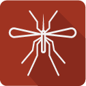 Illustration of a mosquito