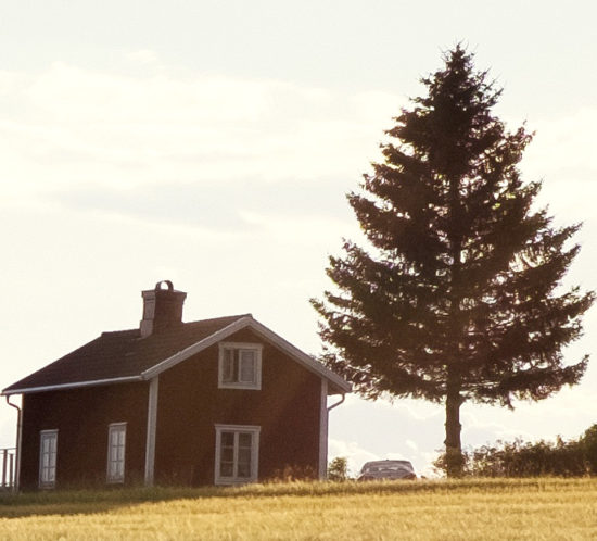 Single room country house with chimney and a backyard tree