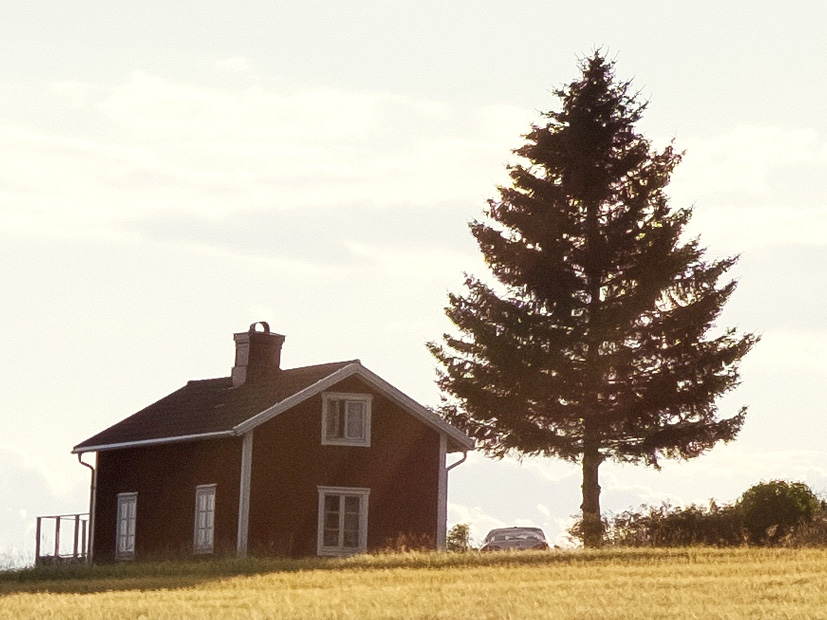 Single room country house with chimney and a backyard tree